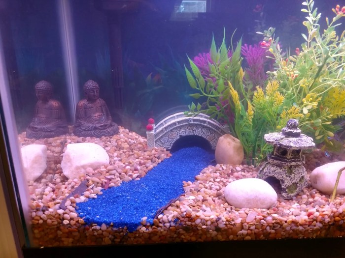 How to make decoration for fish tank